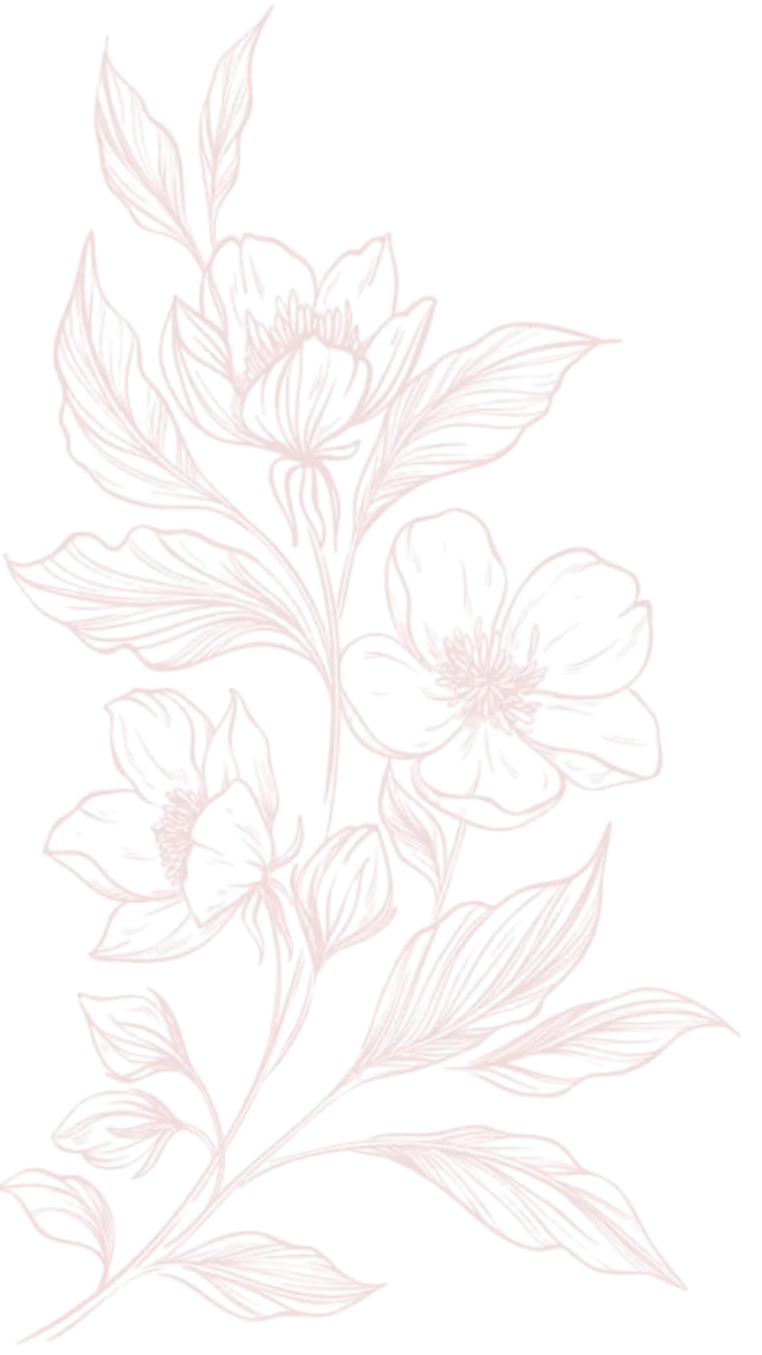 Decoración floral